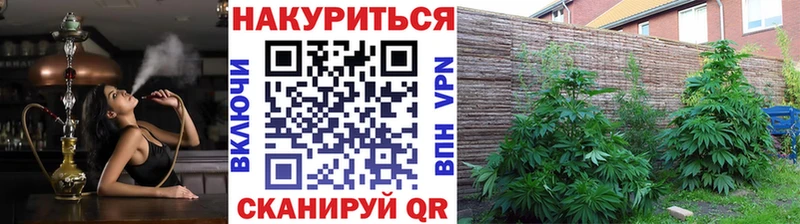 Купить наркотик аптеки Новосибирск АМФ  Галлюциногенные грибы  Cocaine  Alpha PVP  Гашиш 