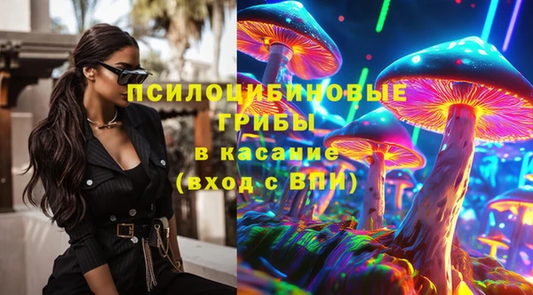 спиды Алзамай