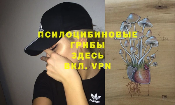 спиды Алзамай