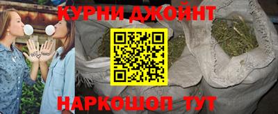ALPHA PVP Гатчина