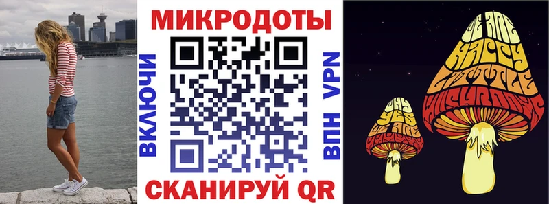 Псилоцибиновые грибы прущие грибы  Новосибирск 