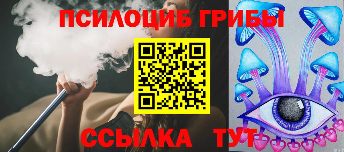 Псилоцибиновые грибы прущие грибы Новосибирск