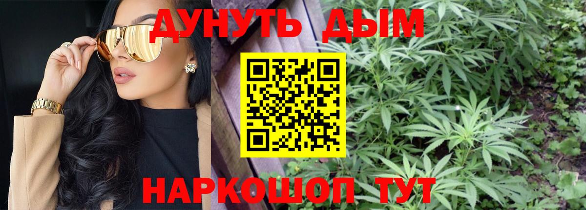 Конопля SATIVA & INDICA Новосибирск
